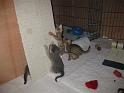 IMG_0065-3