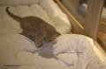 _MG_0635
