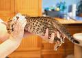 IMG_4151_1_NM
